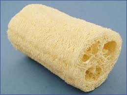 Small clean store bought loofah